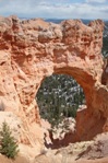 A natural bridge in Ponderosa Canyon.