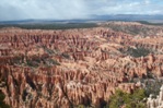 Rows and rows of hoodoos in Swamp Canyon.