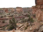 Janice on the Confluence Overlook trail