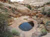 The "tanks" in Capitol Gorge