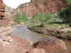 The Fremont river at the base of the Rim Overlook trail