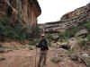 Charlie in Deer Canyon between Sipapu Bridge and Kachina Bridge