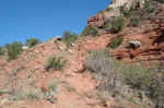 Janice on the switchbacks up the canyon headwall