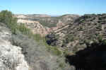 Looking into the "North Prong" canyon from the ridge