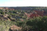 View from the Canyon Rim trail