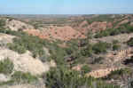 View from the Eagle Point trail