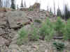 Rockslide on the Alpine Pond trail