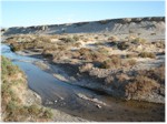 Salt Creek, Death Valley