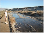 Salt Creek, Death Valley