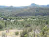 Near the trailhead on Animas Mountain