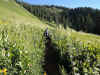 Janice at the start of the Engineer Mountain trail