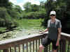 At Kirby Storter Roadside Park, Big Cypress National Park