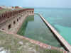 The most around Fort Jefferson