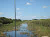 Touring the Everglades on the air boat