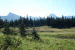 On Flattop Mountain, there were wide-open meadows as well as dense forests.