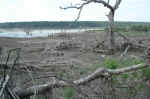 When the lake is full, the level is a lot higher than it was when we were there.