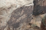 Petroglyphs in Petrified Forest National Park: deer and aliens
