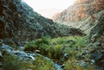 On the Bright Angel trail below Indian Gardens