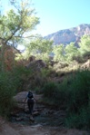 We crossed Bright Angel Creek several times on the way up to the Indian Gardens campground.