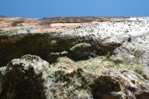 The water flowing out of this cliff is between 800 and 1,200 years old.