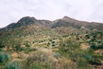 North Mount Franklin from the trailhead