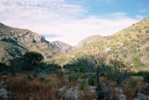 McKittrick Canyon, Guadalupe Mountains National Park