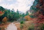 McKittrick Canyon