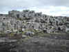 DSCN0078.JPG (2640135 bytes)