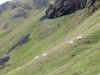 DSCN9921.JPG (2699624 bytes)