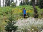 Janice on the trail to Mount Franklin