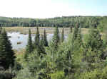 Beaver pond