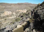 Janice on the trail to Ryan Mountain