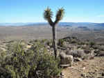 On the Ryan Mountain trail