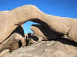 Janice at White Tank Arch