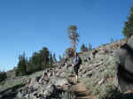 Janice at treeline