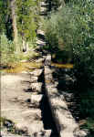 The first stream crossing on the trail.