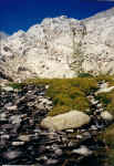 Big Horn Sheep Park.