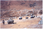 Memorials to climbers and sherpas on the ridge below Lobuche