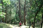 We hiked every trail in the park at Devil's Tower