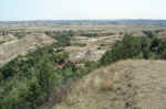 On the Peaceful Valley trail, heading for the petrified wood