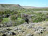 DSCN6268.JPG (2645755 bytes)