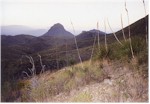 Looking East from the Dodson trail, the Sierra del Carmen mountains in the distance