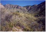 Looking back up to the west rim from Blue Creek trail