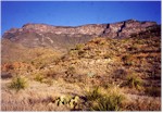 Looking West towards the East Rim from the Juniper Canyon trail