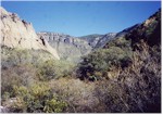 Heading down from the Chisos mountains on Blue Creek trail