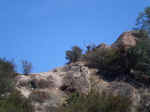 Charlie doing some rock scrambling at the High Peaks