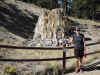 Janice at a large petrified redwood