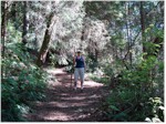 Trees of Mystery, Klamath