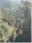 Gondola ride, Trees of Mystery, Klamath