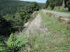 A typical retaining rock wall on Skyline Drive